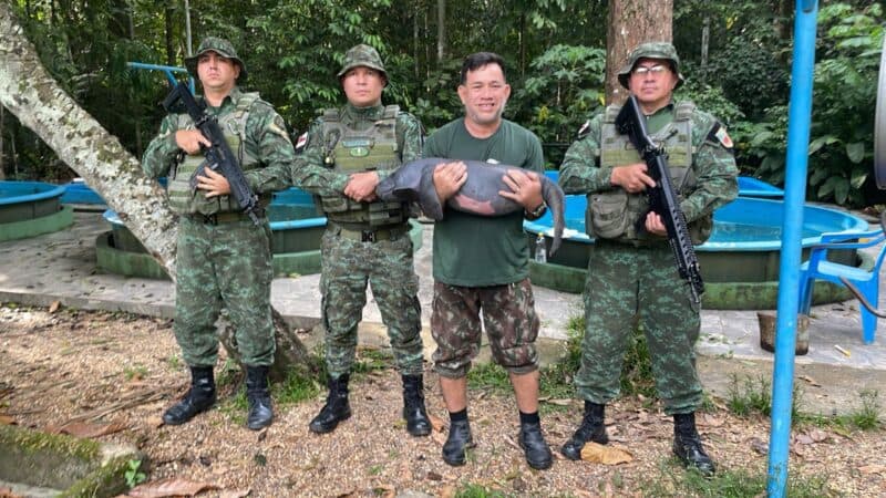 Filhote de peixe-boi é trazido para Manaus após ser encontrado em Silves