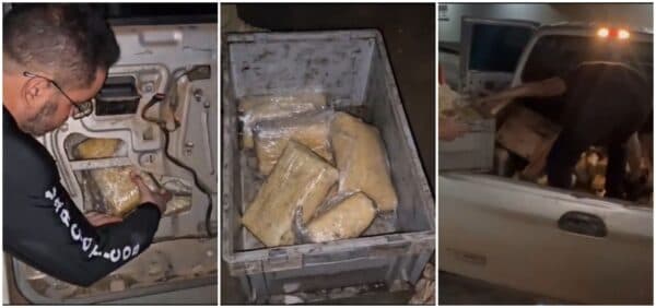 Polícia apreende mais de R$ 1 milhão em maconha durante operação na zona Leste de Manaus