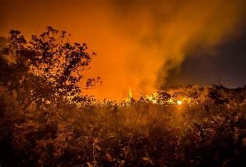 Avião da FAB com capacidade de lançar 12 mil litros de água será usado para combater os incêndios no Pantanal