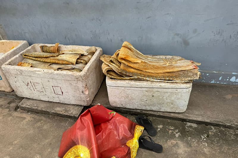 Em Ipixuna, cerca de meia tonelada de carne de caça e pescado ilegal é apreendida