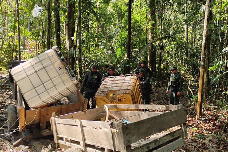 Operação flagra desmatamento ilegal em Manicoré, no Amazonas