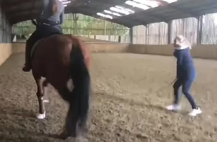 VÍDEO: Campeã de hipismo é vista praticando maus-tratos contra cavalo e está fora das Olimpíadas de Paris