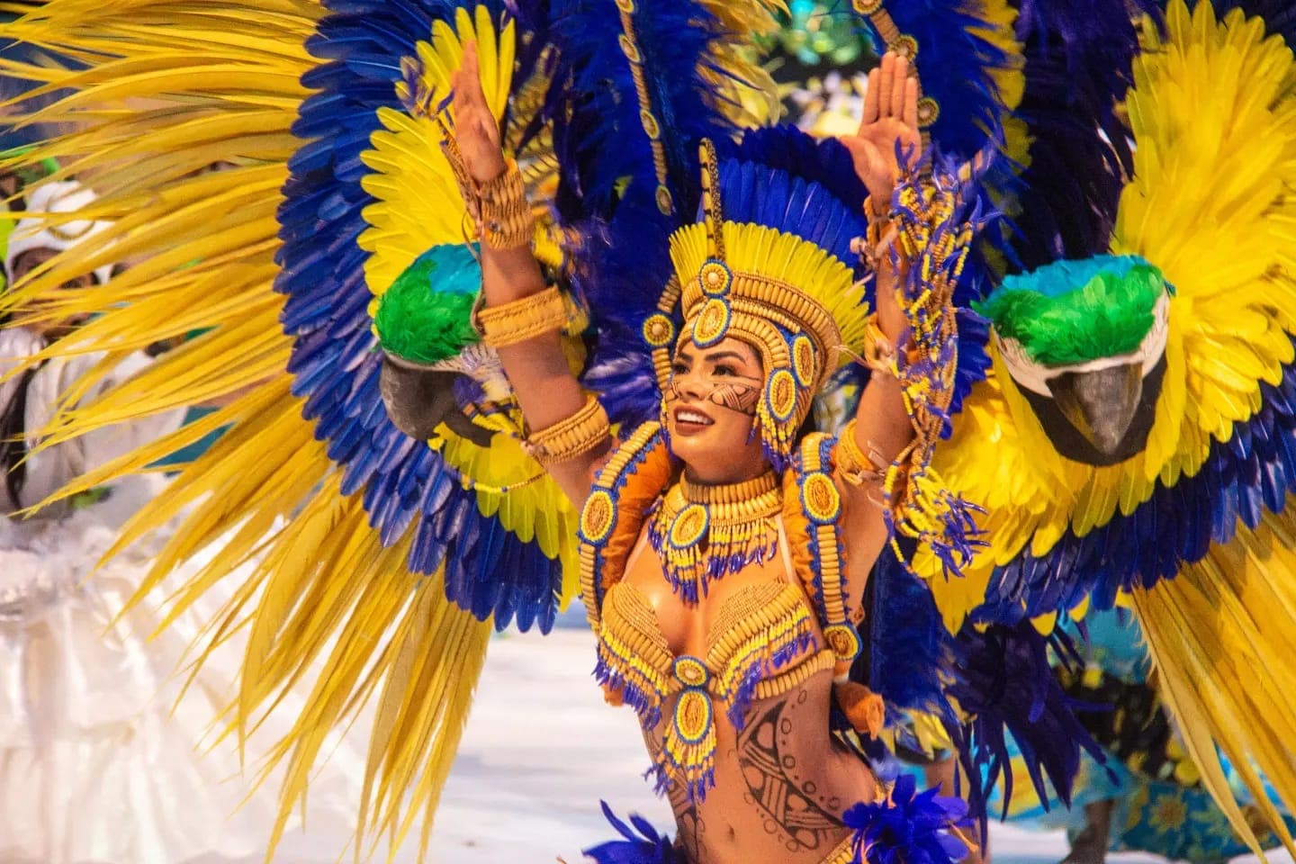 Boi Caprichoso comemora tricampeonato neste sábado (6) em Manaus