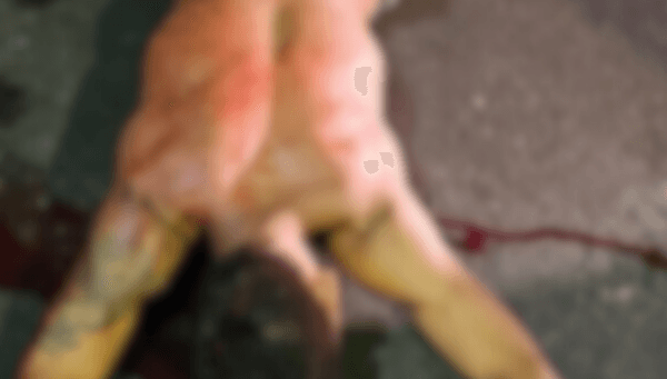 Homem é assassinado com cinco tiros em bar na Compensa