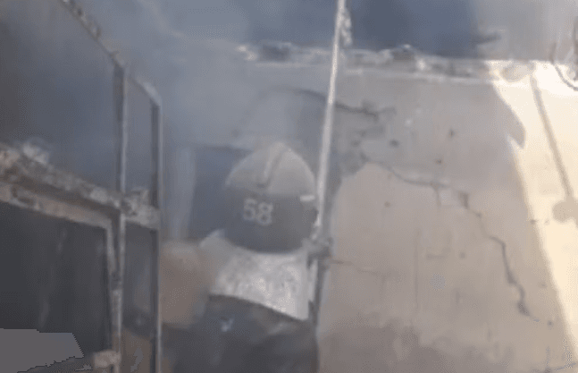 Criança de 05 anos ateia fogo em sofá após pais devolverem cachorros encontrados na rua