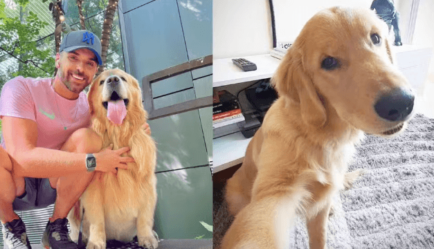 Laudo aponta causa da morte do cão Joca durante voo da Gol