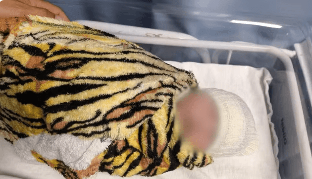 ‘Nazaré Tedesco de Minas Gerais’: bebê sequestrada de hospital por falsa médica é encontrada em Goiás