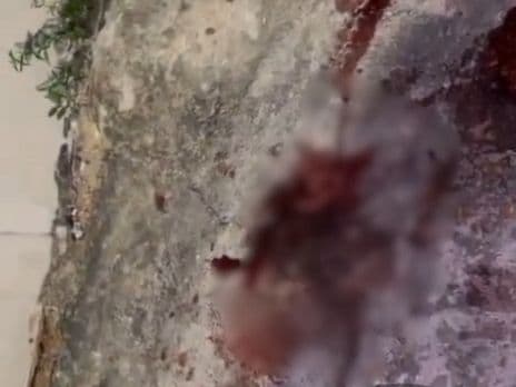 Homem é executado a tiros enquanto passeava com cachorro no bairro Compensa