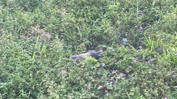 Moradores encontram corpo com sinais de espancamento em área de mata na zona Leste de Manaus