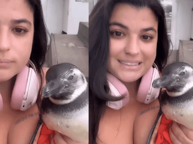 VÍDEO: Mulher acha pinguim no RJ e alerta sobre resgate adequado das aves: “Queriam dar pão”