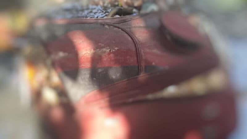 Morador de rua ‘bisbilhota’ mala e encontra corpo esquartejado em Manaus