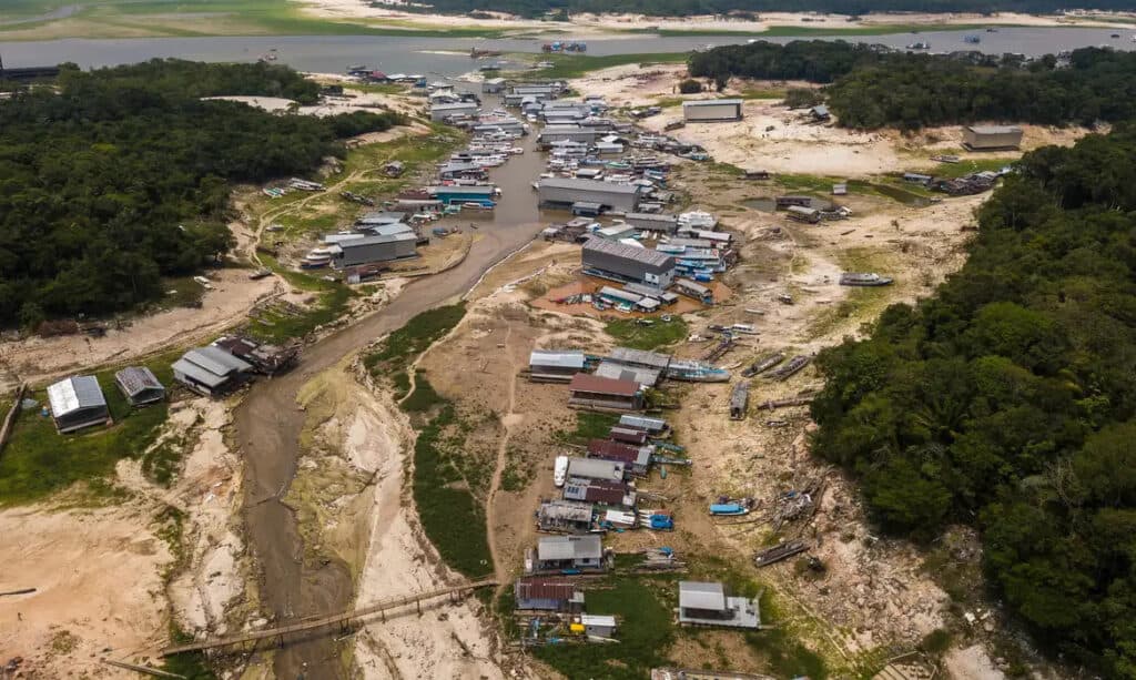 Especialistas alertam o Senado para os riscos do El Niño na Amazônia