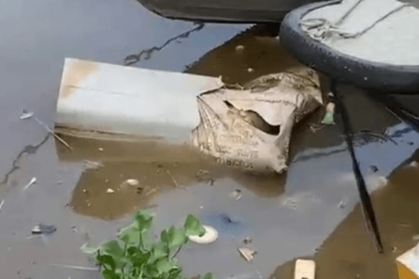 VÍDEOS: Corpo esquartejado enrolado em saco é desovado na Manaus Moderna