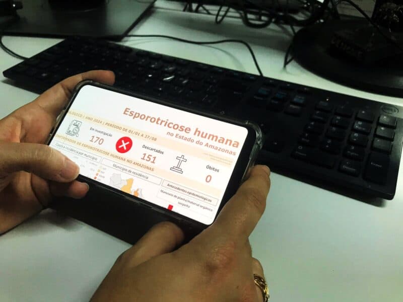 Mais de mil casos de esporotricose são registrados em humanos e mais de 1,5 mil em animais em Manaus