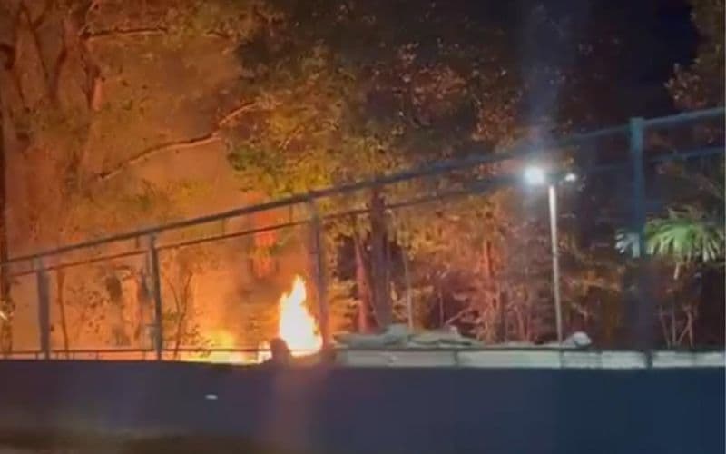 VÍDEO: Parque Municipal do Idoso é atingido por incêndio criminoso em Manaus