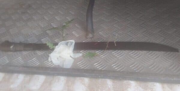 Briga entre vizinhos termina com homem morto no interior do Amazonas