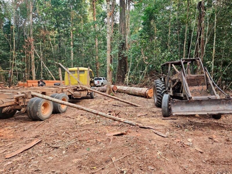 Dupla é presa por prática de crime ambiental em Novo Aripuanã, AM