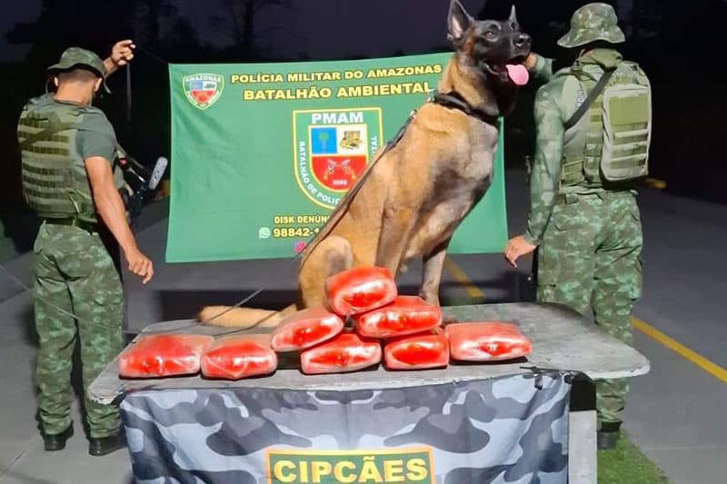 Homem é preso com mais de dez quilos de maconha do tipo skunk em Coari