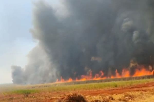 VÍDEO: Onda de incêndios atinge cidades e mata dois funcionários de usina no interior de São Paulo