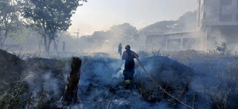 Em 24 horas, Bombeiros combatem 18 incêndios em áreas de mata em Manaus