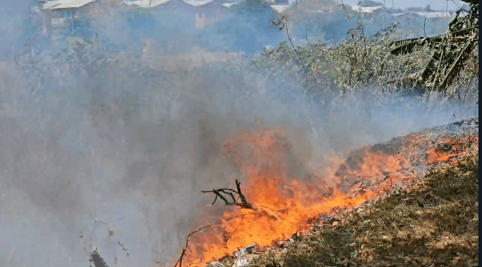 Em meio à intenso calor, área de mata pega fogo no Santa Luzia