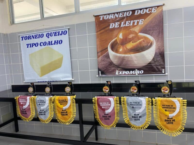 Expoagro 2024 inicia na terça-feira (24) com torneios de leite, doce de leite, queijos e animais; confira programação