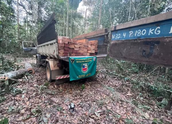Grupo é preso suspeito de desmatamento ilegal no Amazonas