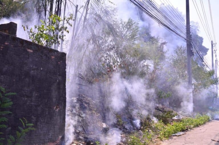 PF vai investigar incêndio em área do Inpa em Manaus