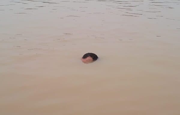 VÍDEO: Corpo de homem que estava desaparecido é encontrado boiando no rio em Tefé