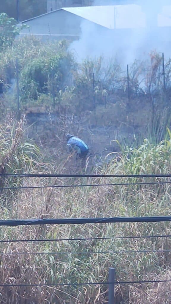 Homem é preso em flagrante ateando fogo em área de mata no Parque 10