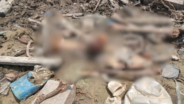 Ossada humana é encontrada na Feira da Panair. Veja vídeo