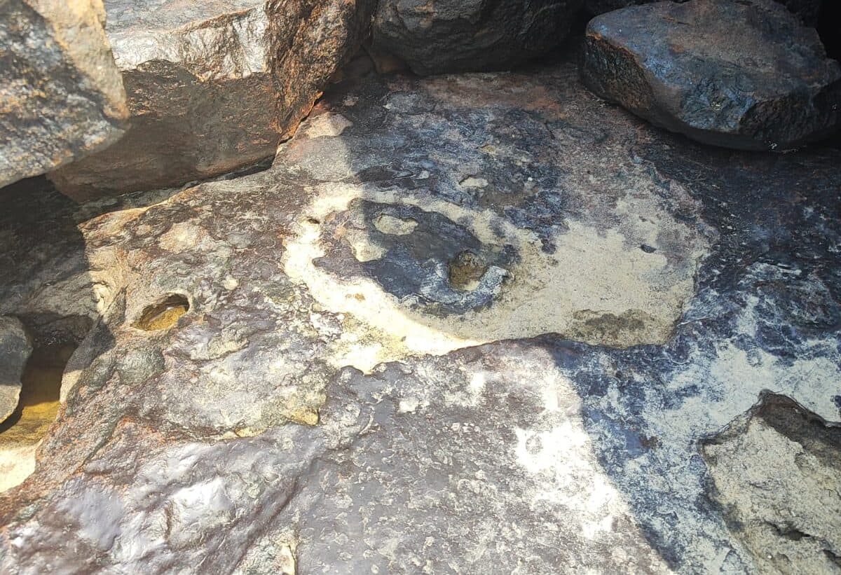 Após reaparição de gravuras rupestres, Iphan lança plano de proteção para sítios arqueológicos no Amazonas