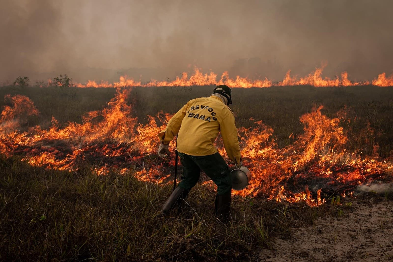 Governo federal aumenta em 118% número de agentes contra incêndios florestais na Amazônia, Pantanal e Cerrado