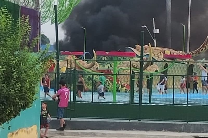 Gigantes da Floresta mantém funcionamento após incêndio nas imediações do parque