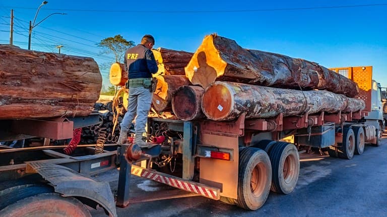 PRF apreende caminhão sem placa e madeiras ilegais em Humaitá