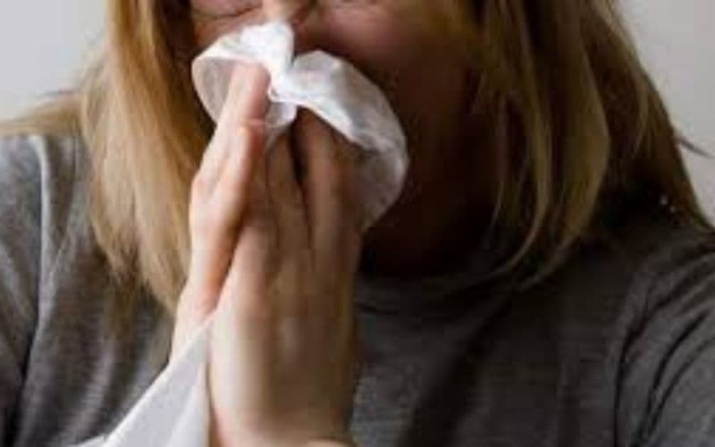 Queimadas: São Paulo tem 76 mortes por síndrome respiratória aguda grave