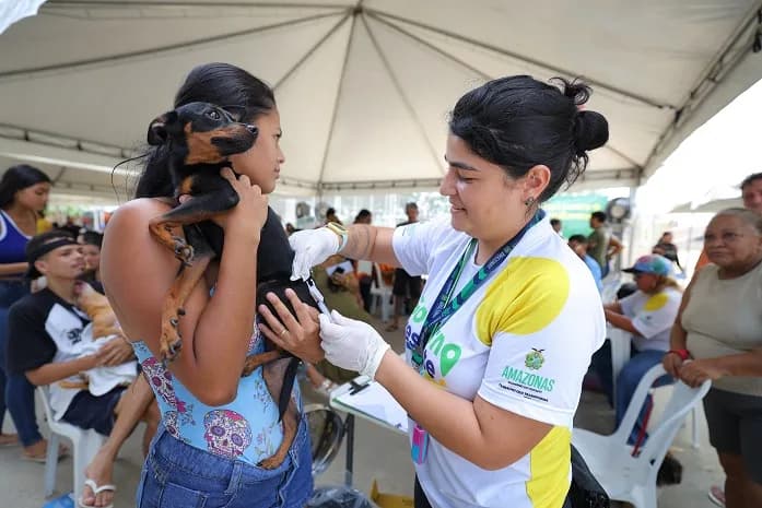 Agendamento para castração e vacinação para cães e gatos acontece nesta quinta no Monte Horebe; saiba como fazer