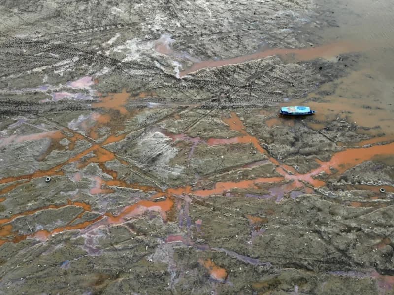 Temperatura de lagos no Amazonas sobe em relação ao ano passado; 330 botos morreram em 2023