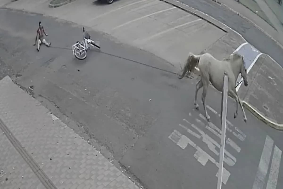 VÍDEO: jovem é arrastado por cavalo e esfolado vivo em rua de MS