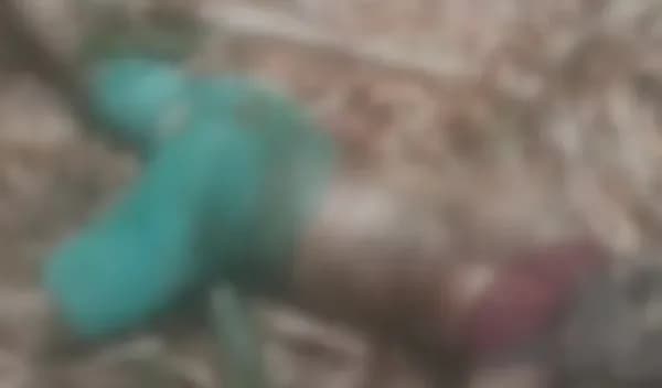 IMAGEM FORTE: corpo em decomposição é encontrado em matagal na AM-010