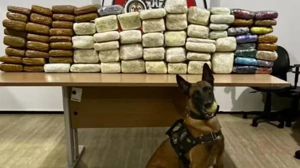 Carga de 120 kg de maconha é encontrada em barco no Marajó