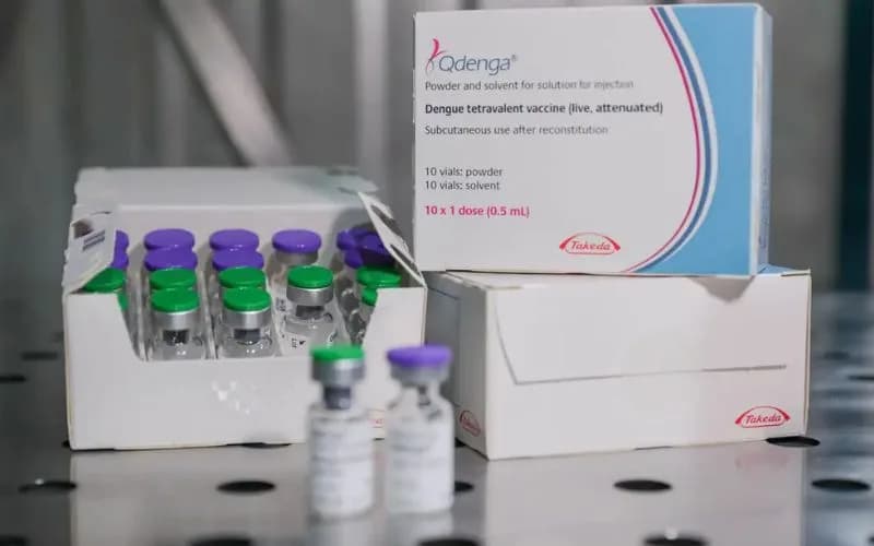 Fiocruz oficializa pedido para produzir vacina contra dengue no Brasil