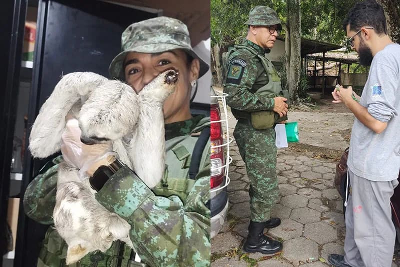 Animais silvestres são resgatados em ações da PM na capital amazonense