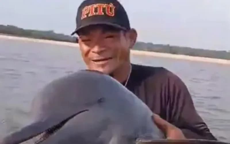 VÍDEO: Pescador salva boto que estava preso em rede de pesca no rio Nhamundá