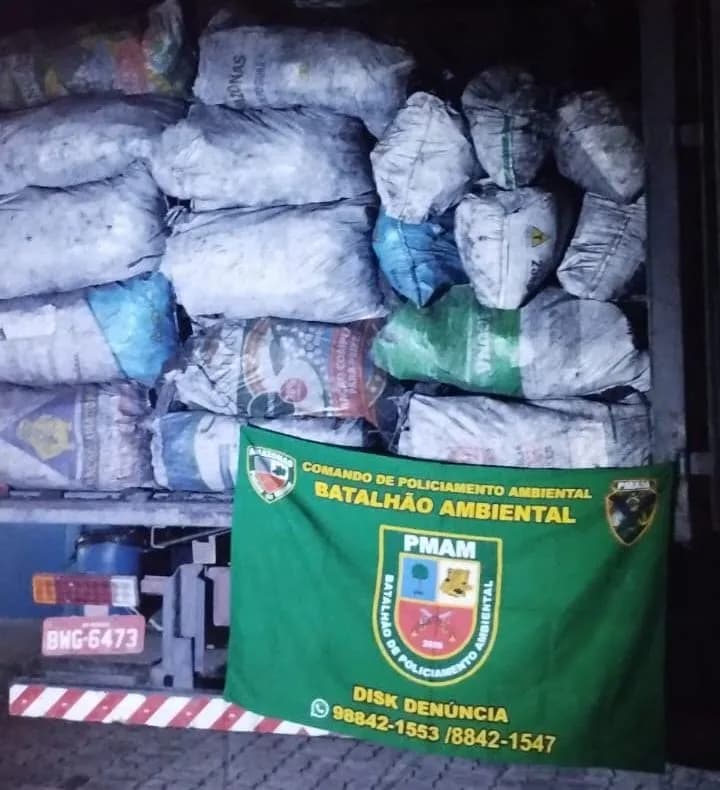 Carvão ilegal avaliado em R$ 75,6 mil é apreendido em Manaus