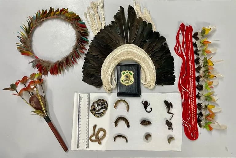 PF deflagra operação em combate ao tráfico de produtos da biodiversidade e animais silvestres