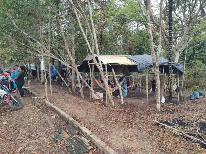 Indígena é preso por envolvimento em crime ambiental na zona Oeste de Manaus