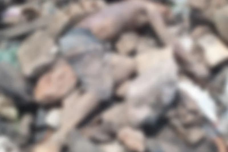 Corpo é encontrado em lixão sendo devorado por urubus, em Manacapuru