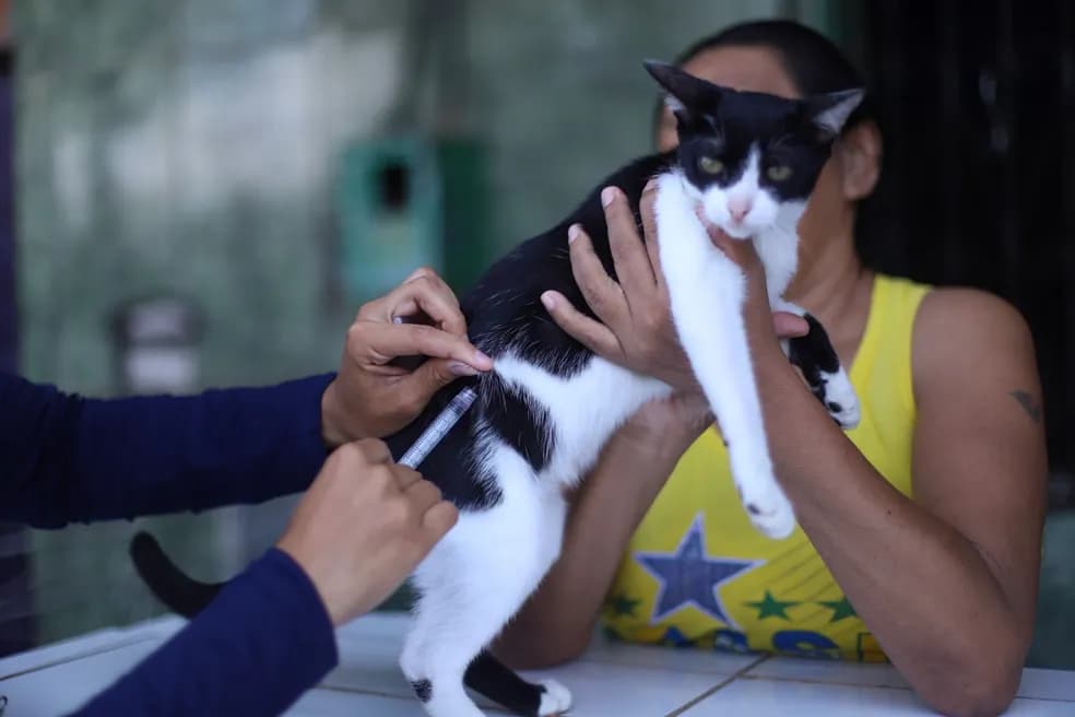 Campanha de vacinação de cães e gatos contra raiva começa hoje em Manaus