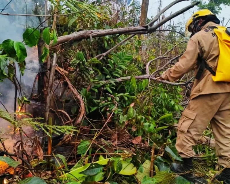 Área de mata pega fogo no Parque das Tribos, em Manaus